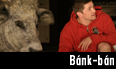Bánk-bán